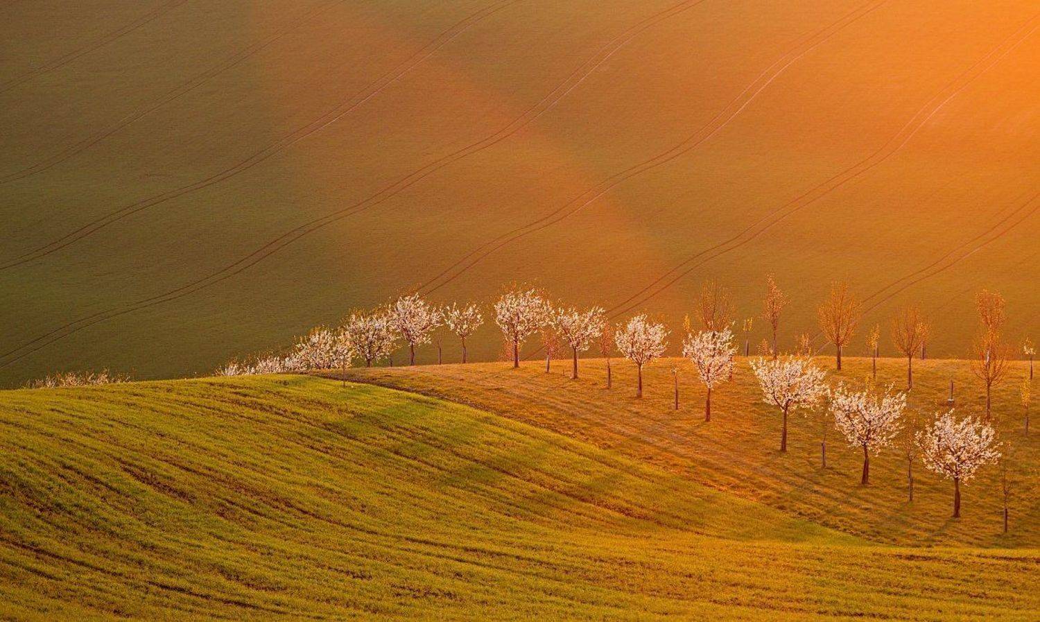 south moravia, Franti&scaron;ek Uhler