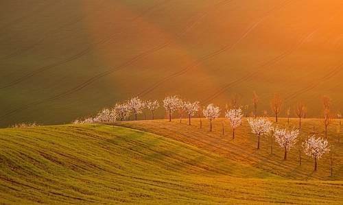 Heavenly light in a set