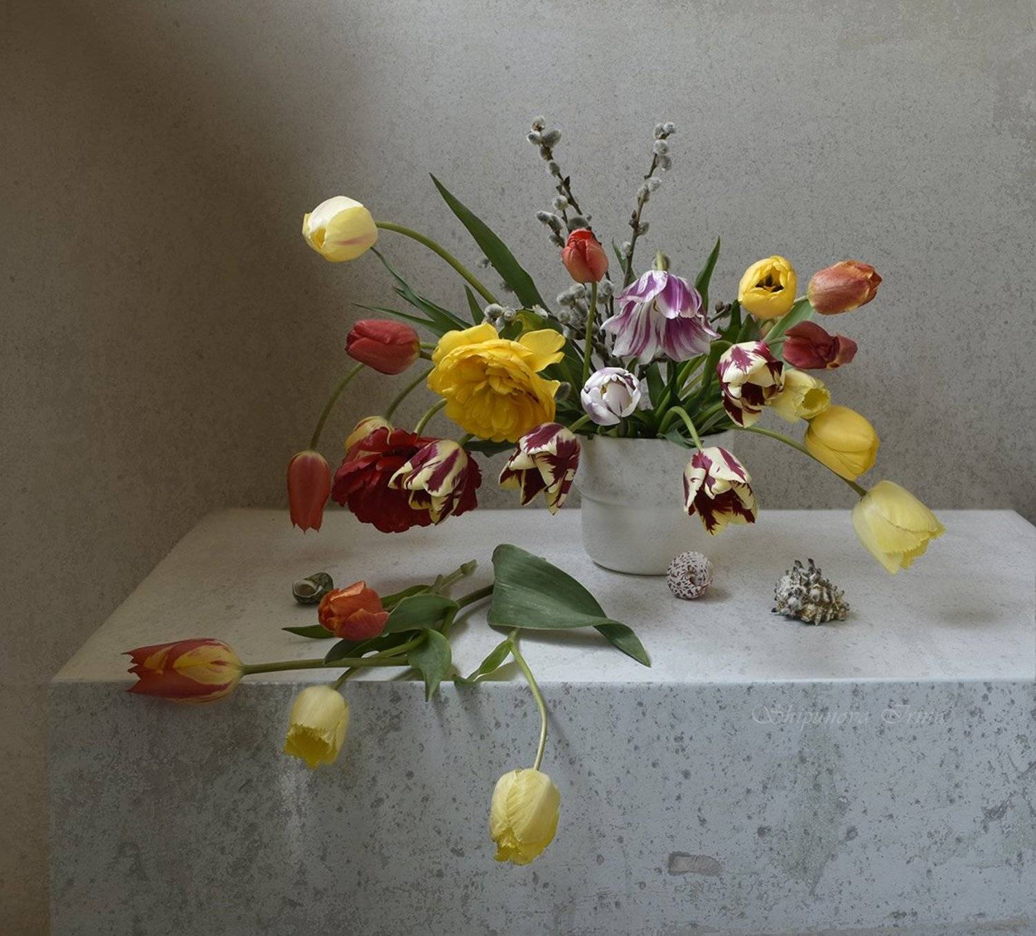 , Шипунова Ирина