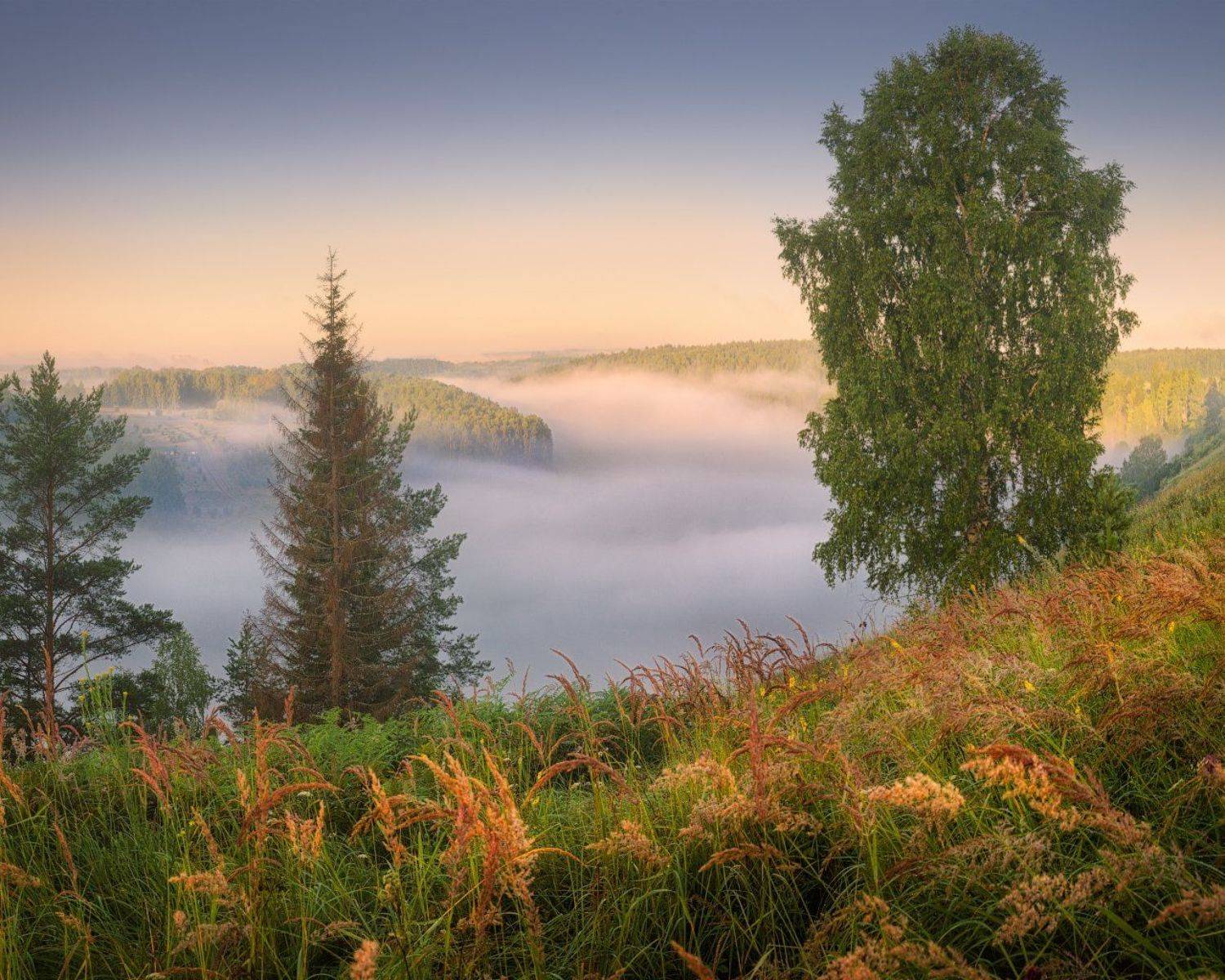 туман, река, лето, немда, Дмитрий Медянцев