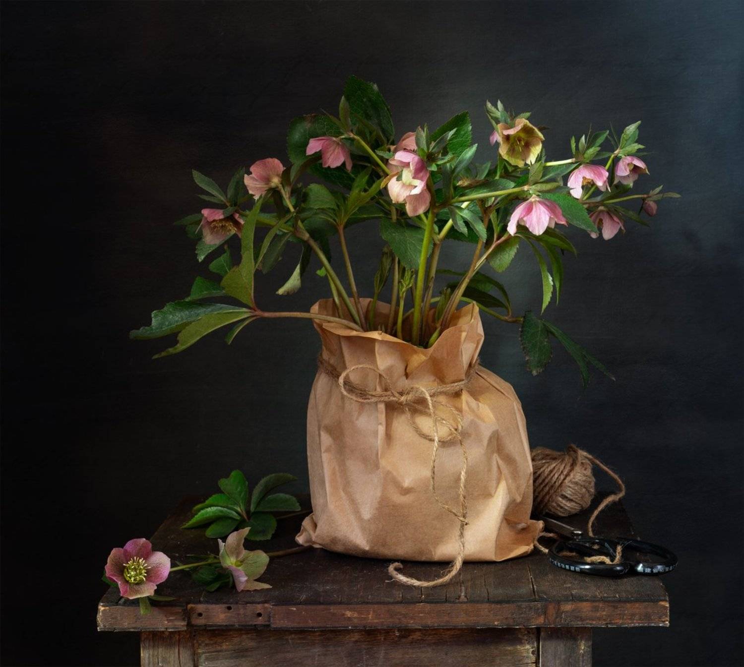 натюрморт, цветы, морозник, Оля