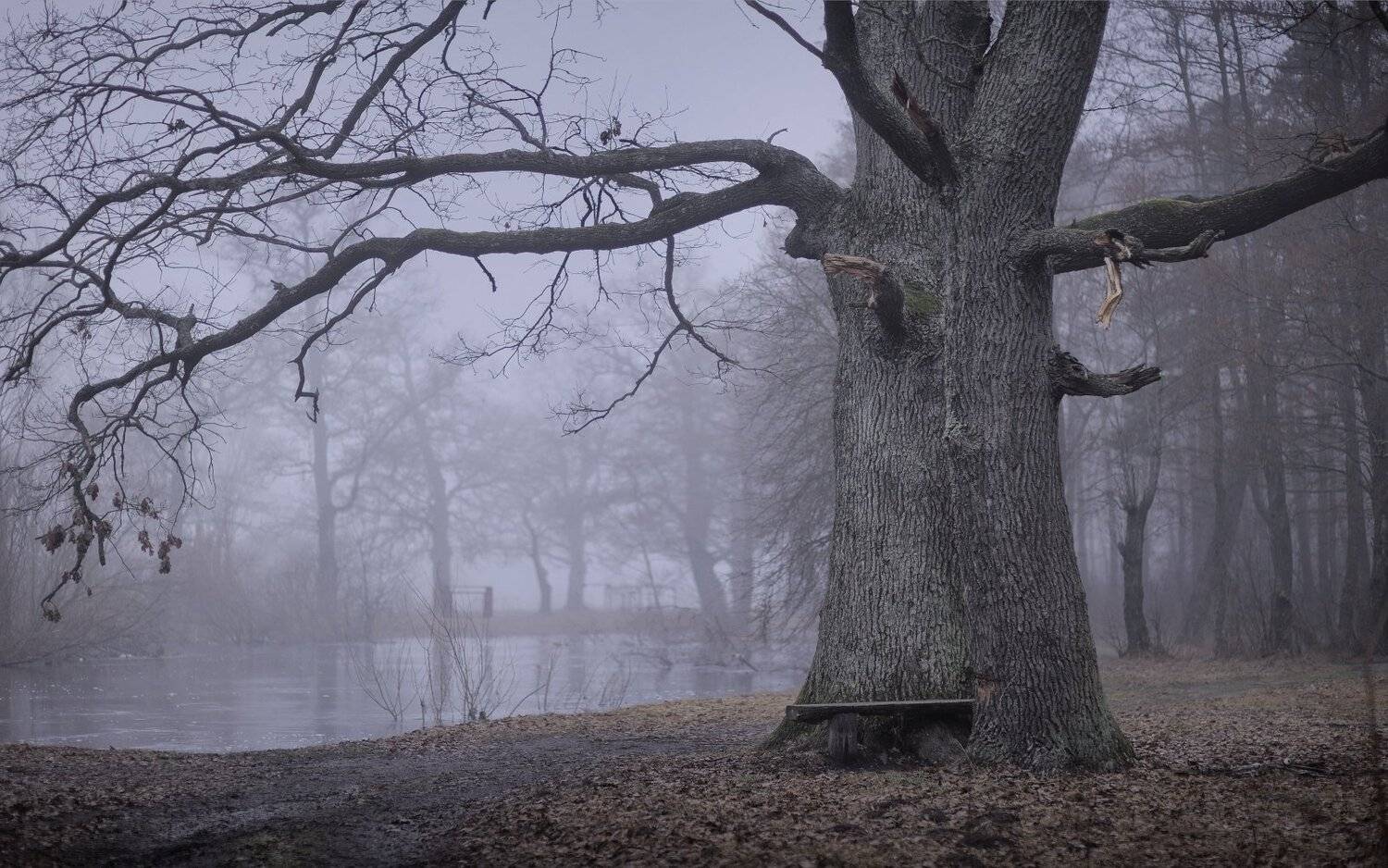 , Никитин Николай