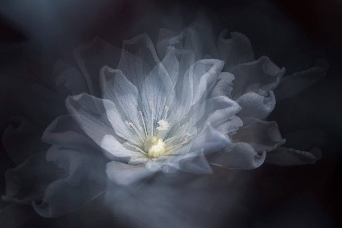 close-up, Игорь Копцев