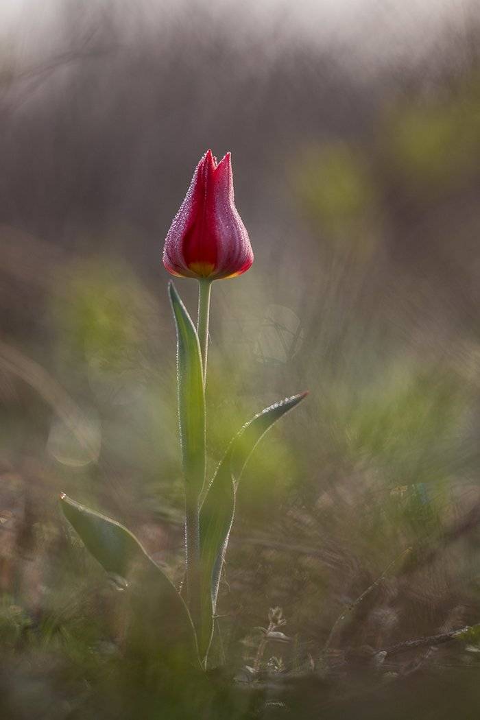 , Илья Михеев