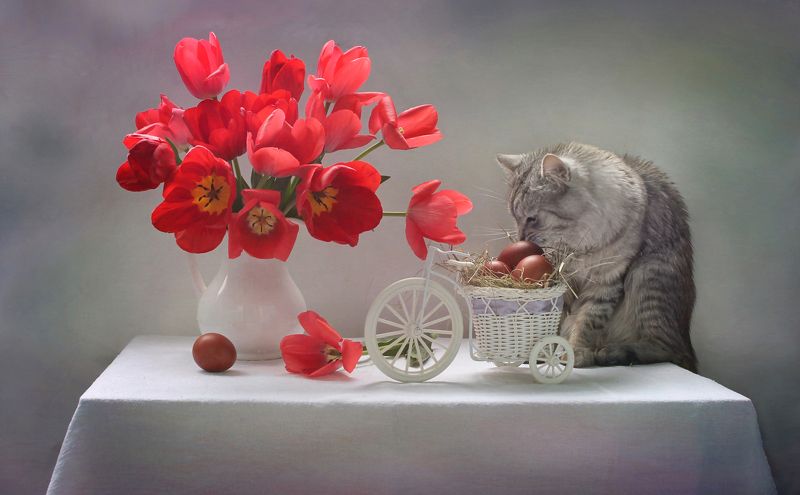 композиция, животные, кошки, кот, цветы, тюльпаны, весна, пасха, яйца Как Феня Пасху ждал фото превью