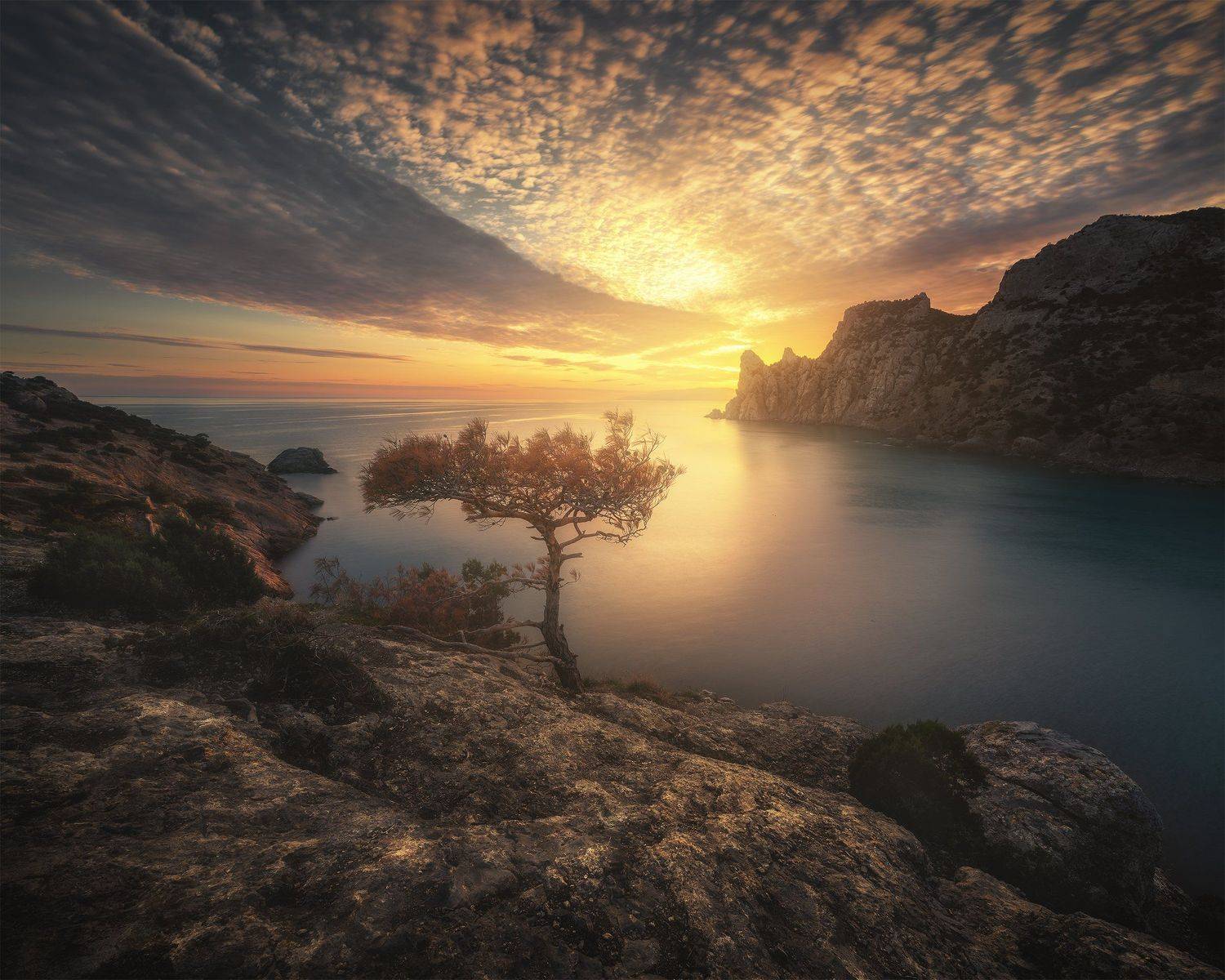 , Анна Политова