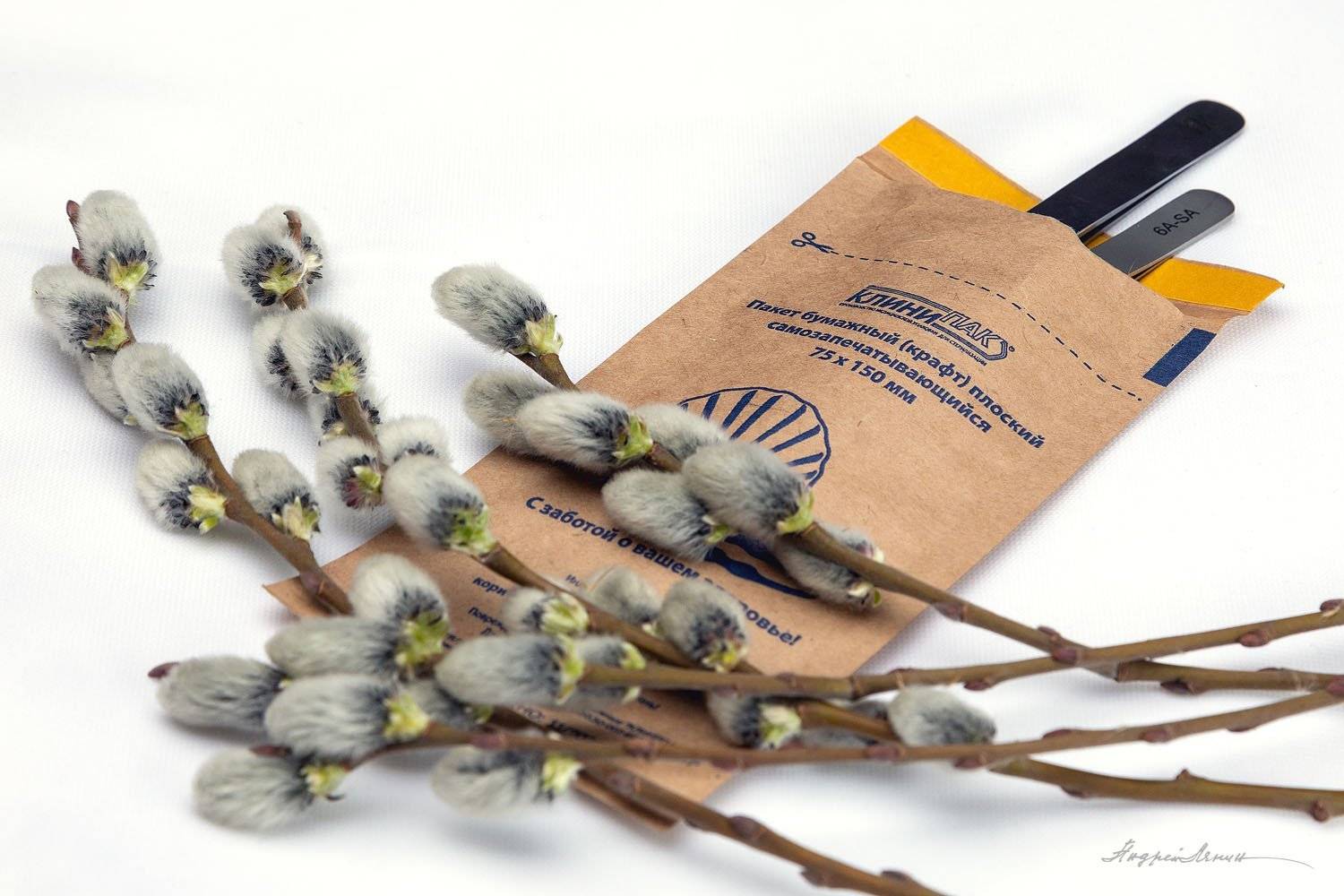 , Андрей Ляпин