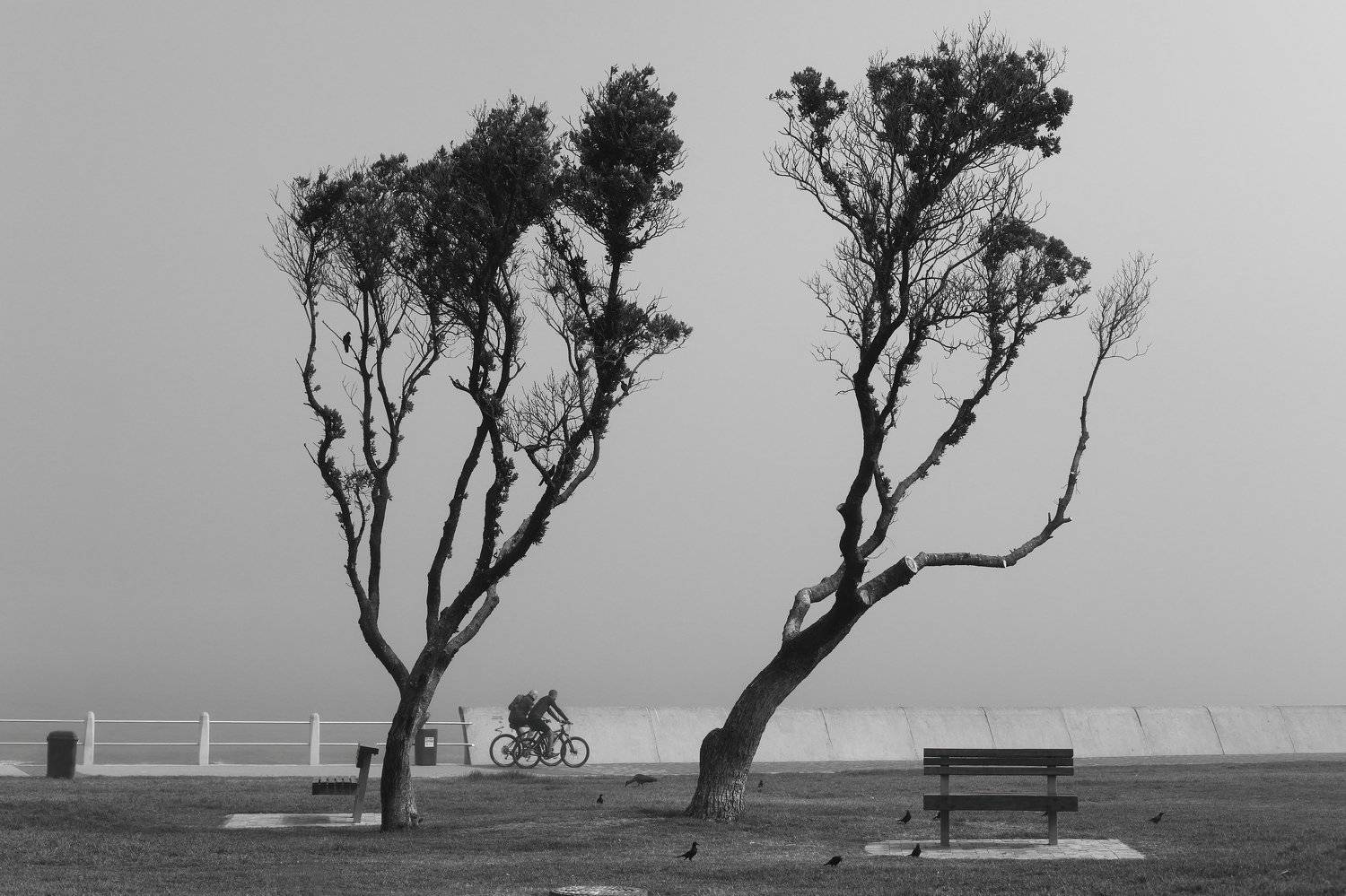 , Anastasiia Usoltceva