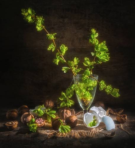 Зарождение весны !