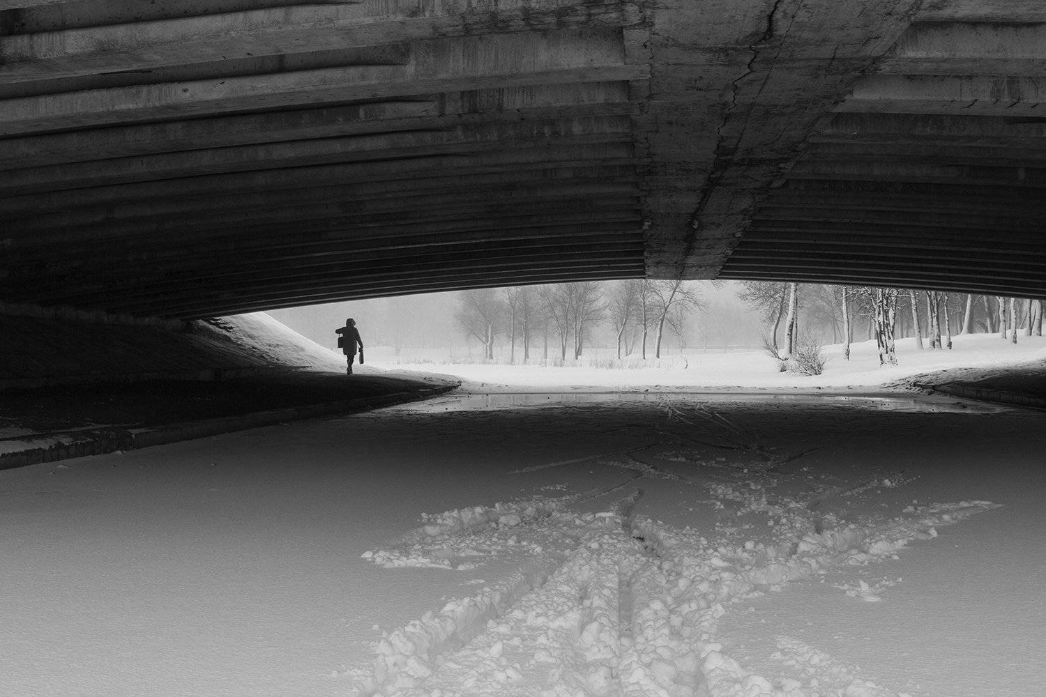 санкт-петербург,муринский парк,зима, alexOmRam