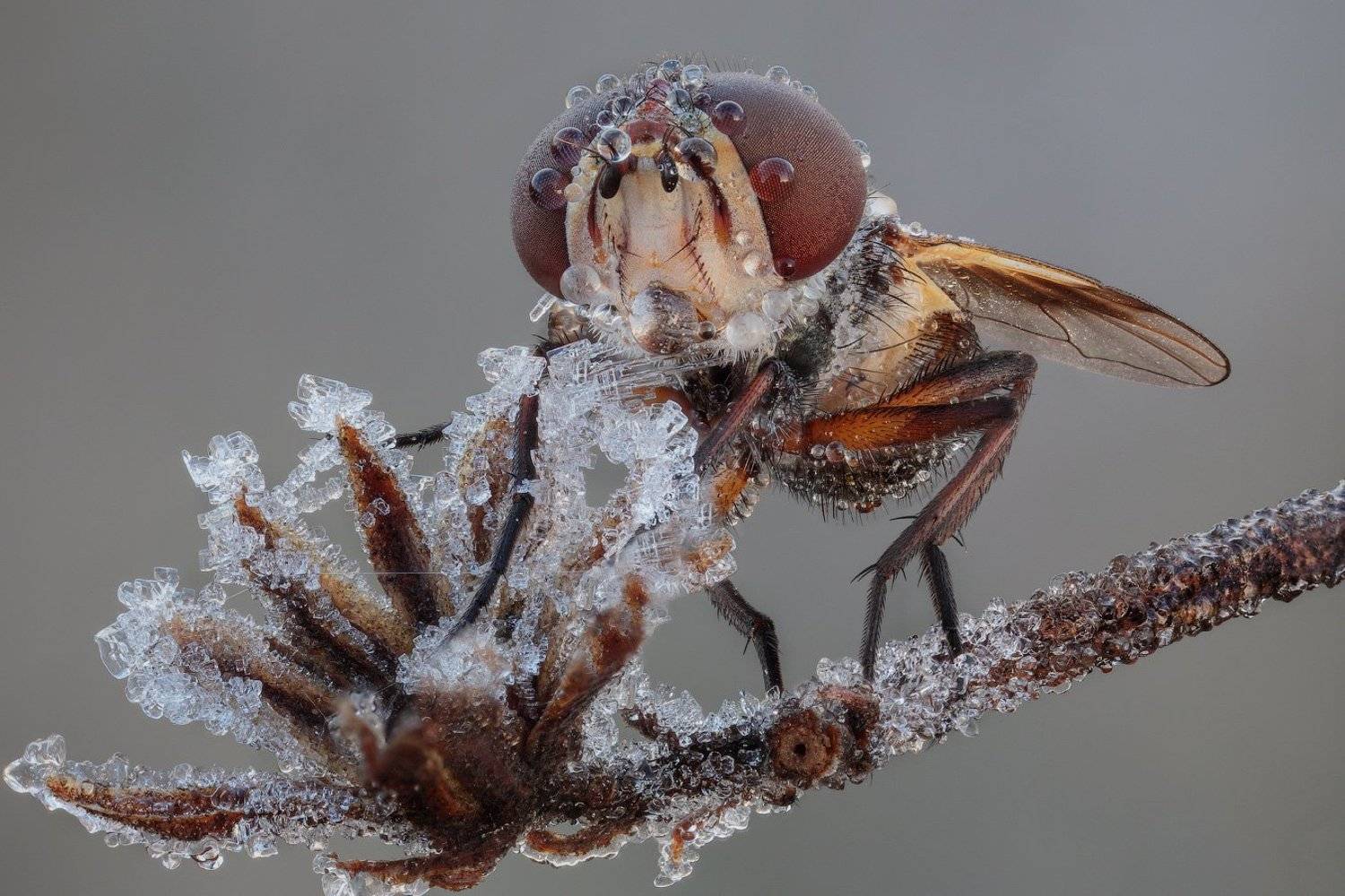 , Вадим Ходаковский