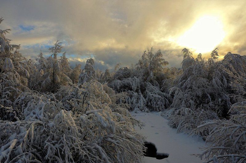 ) фото превью