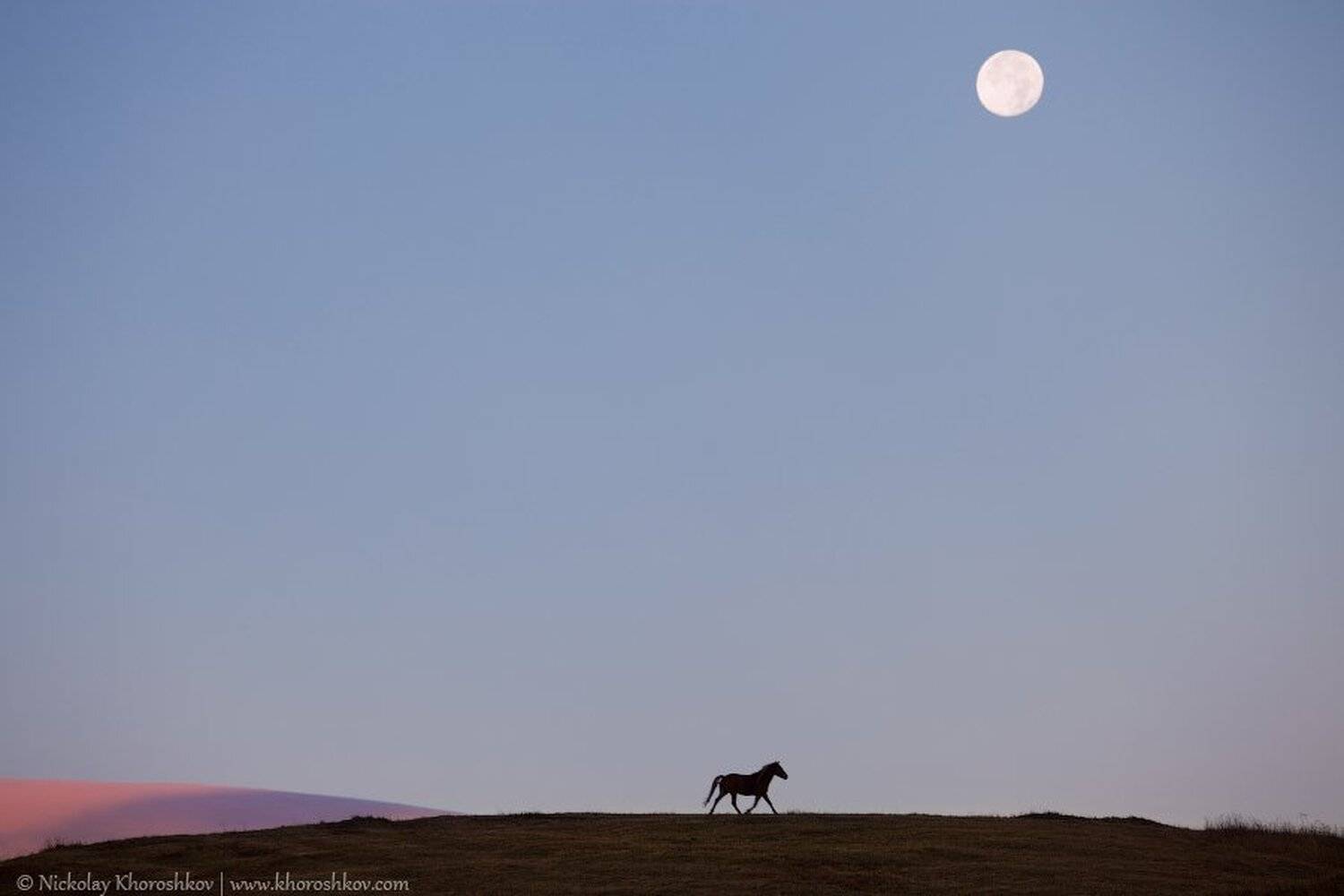 , Николай Хорошков
