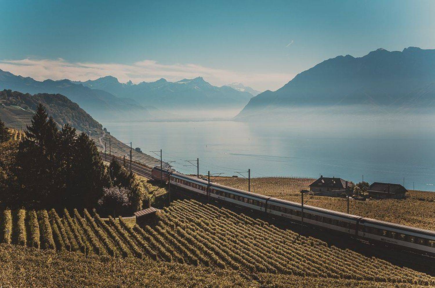 , Евгений Романенко