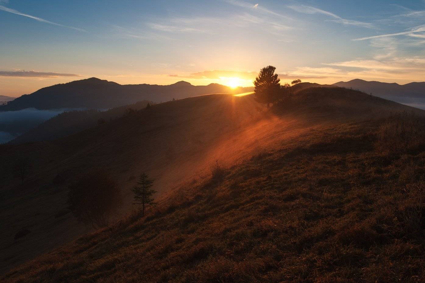 , Олег Логунов