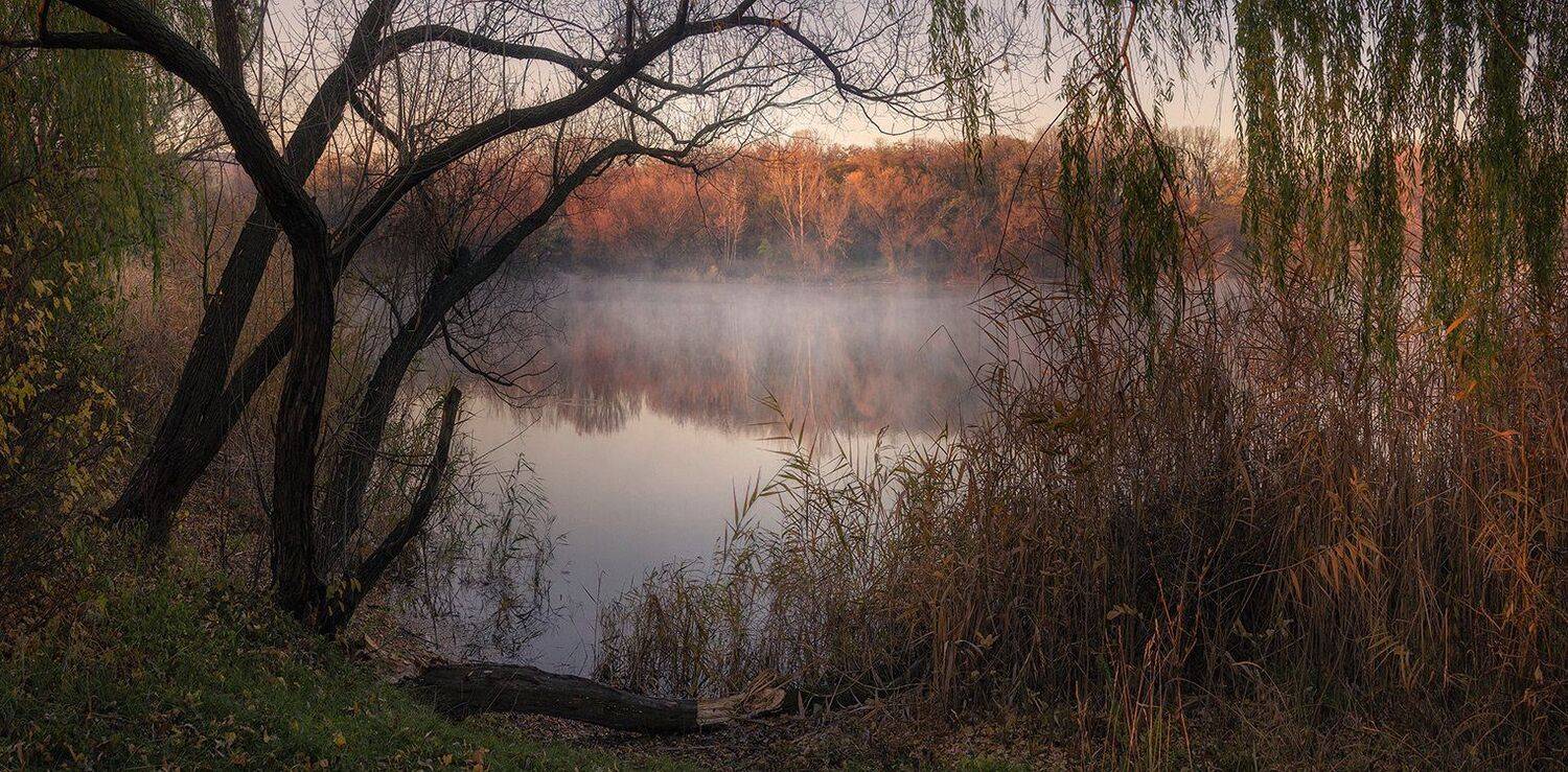 , Игорь Мелекесцев