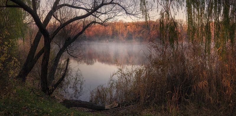 Розовый рассвет фото превью