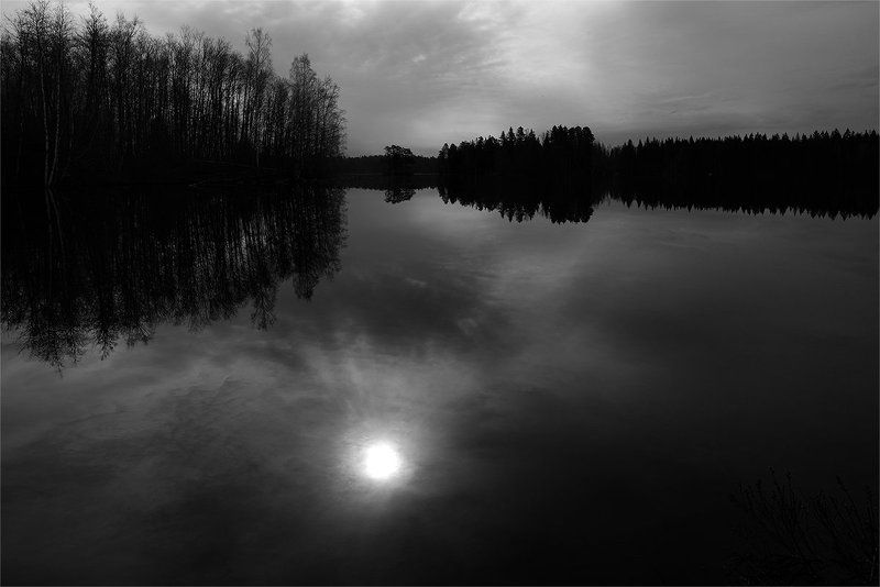 По пути в Брусничное фото превью