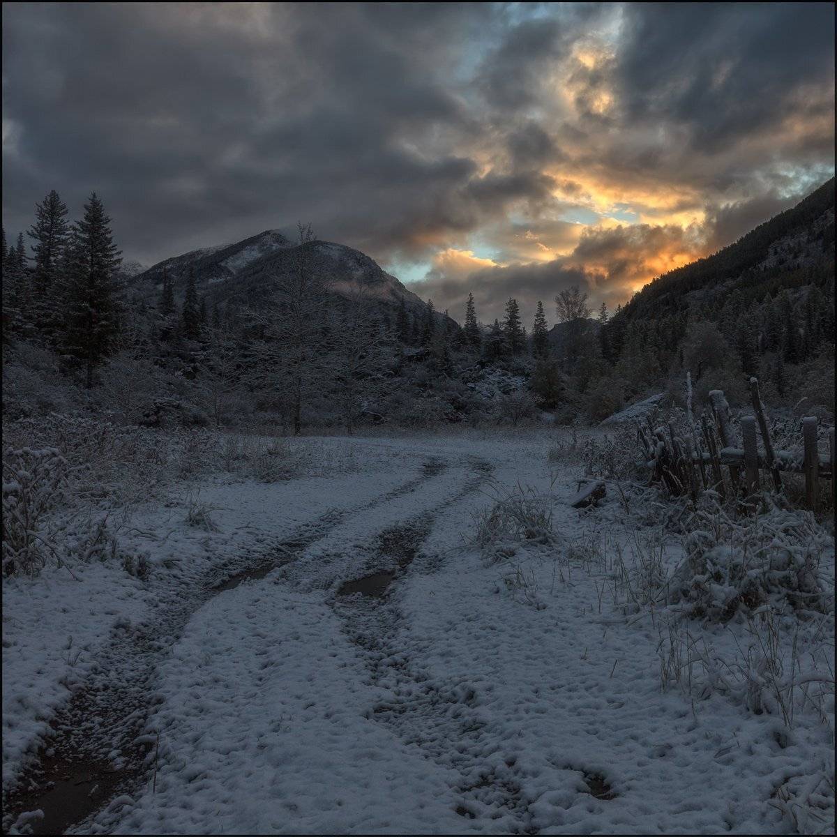 алтай, чуйский, тракт, Виктор