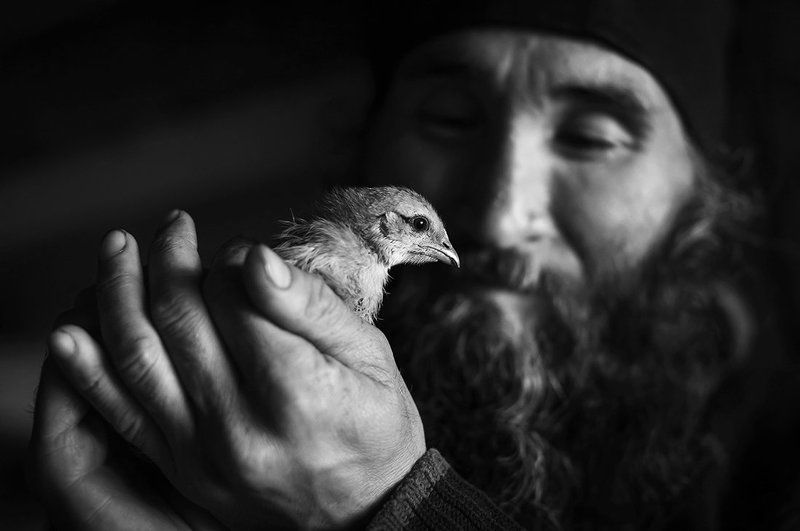 Отец Авдий фото превью