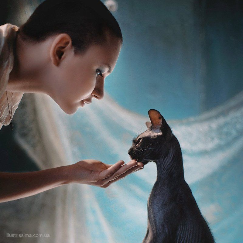 Вискас фото превью