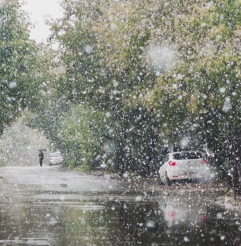 Первый снег фото превью