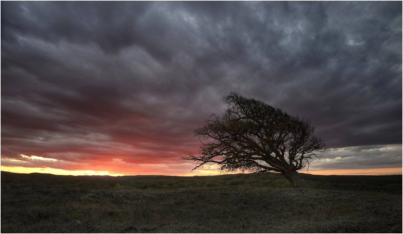 , Румен Паисиев