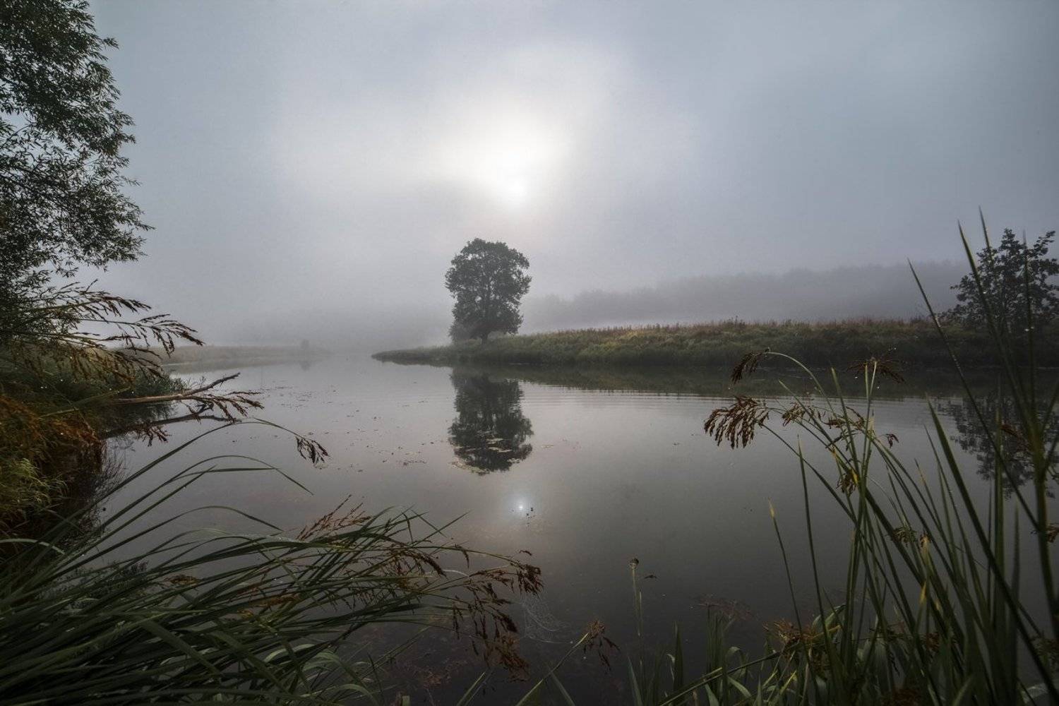 , Евгений Цветков
