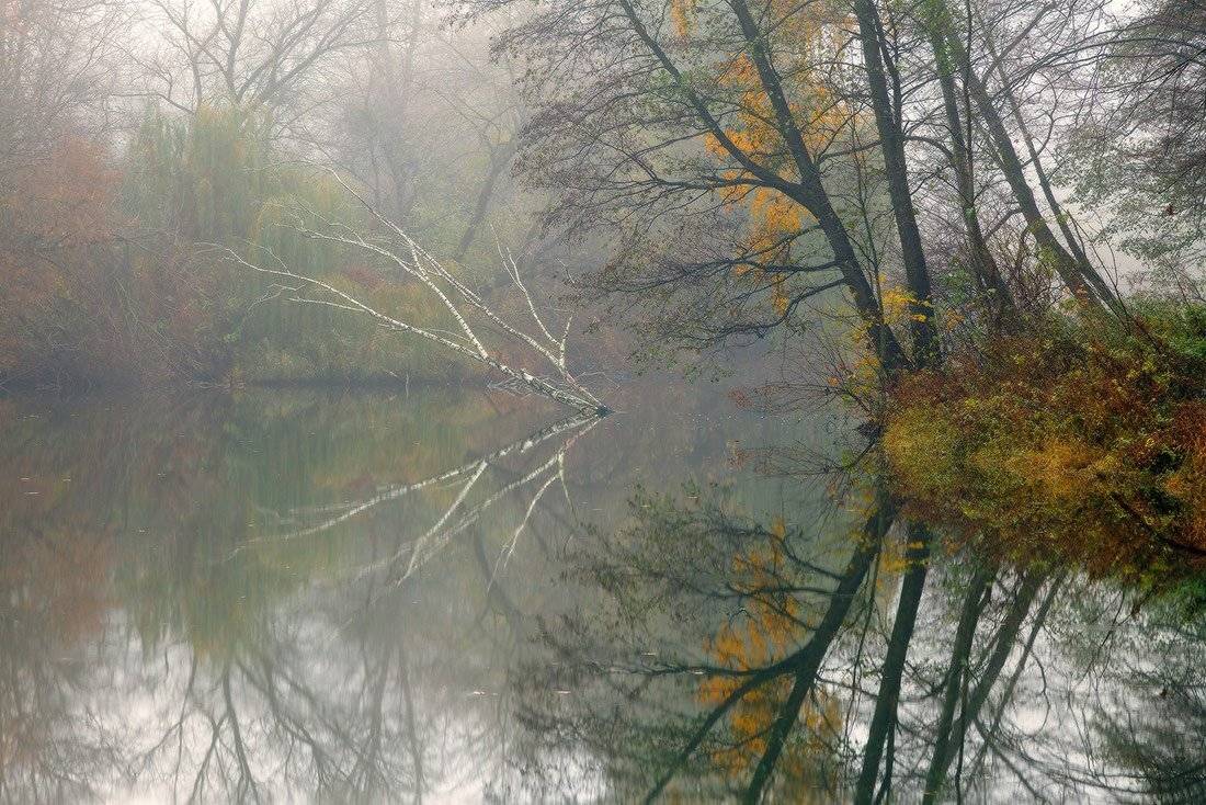 , Ярослав Тюрменко (Jaremi)