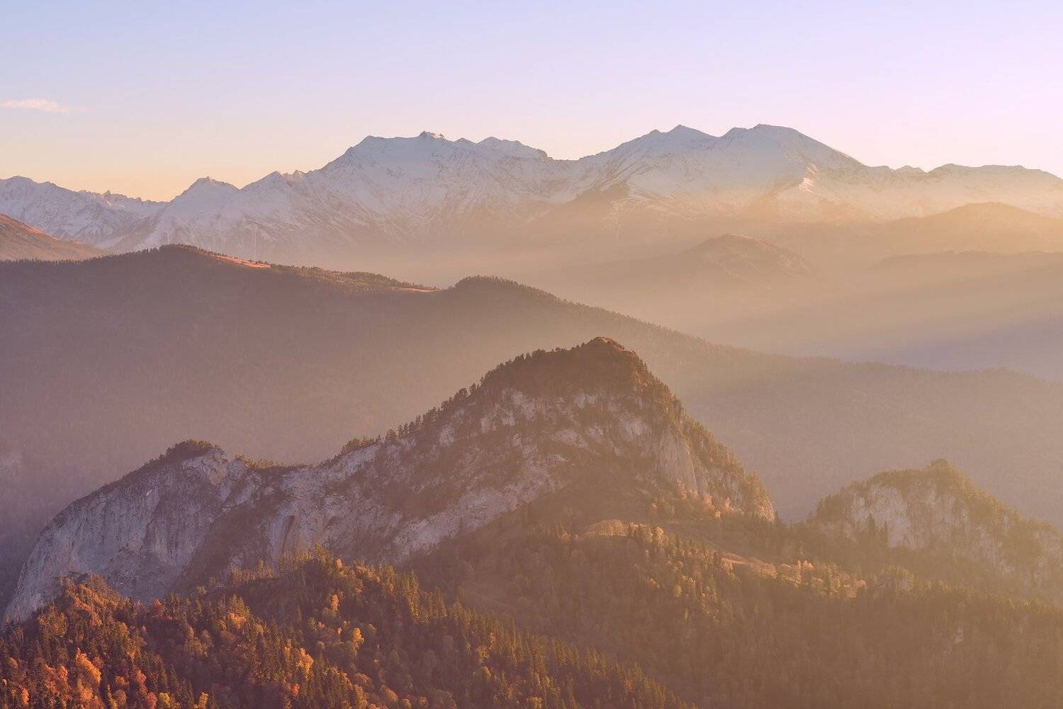 , Максим Евдокимов