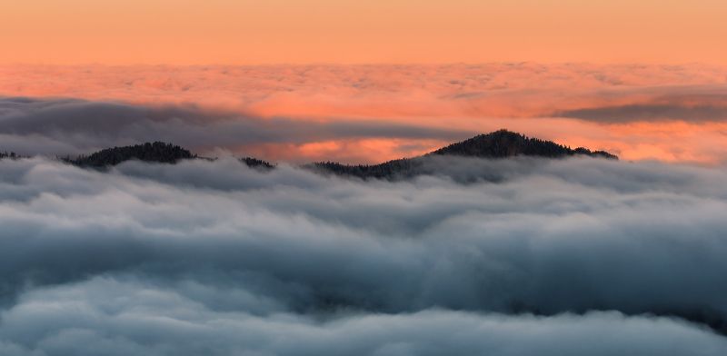 УКРЫВШИСЬ ПУХОВЫМ , МЯГКИМ ОДЕЯЛОМ фото превью