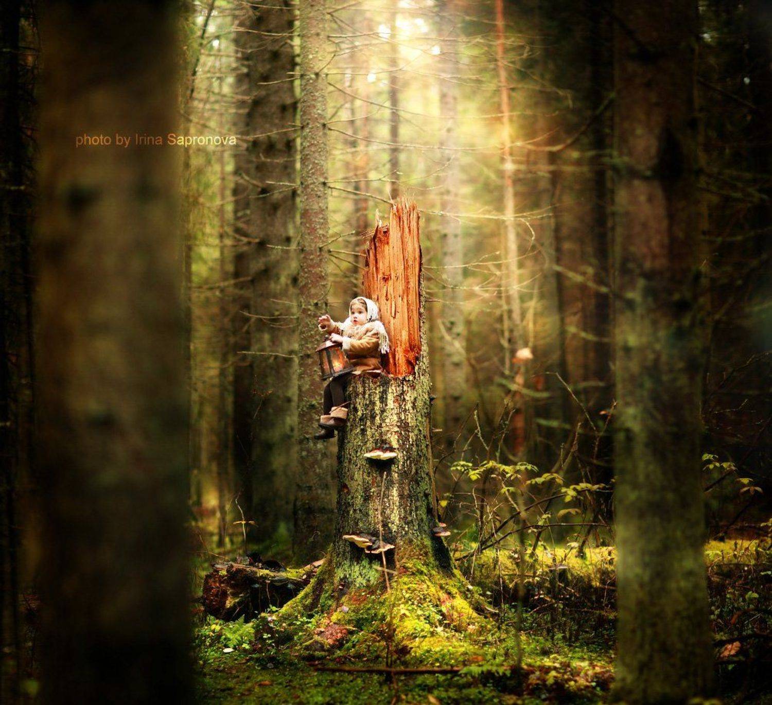 , Сапронова Ирина