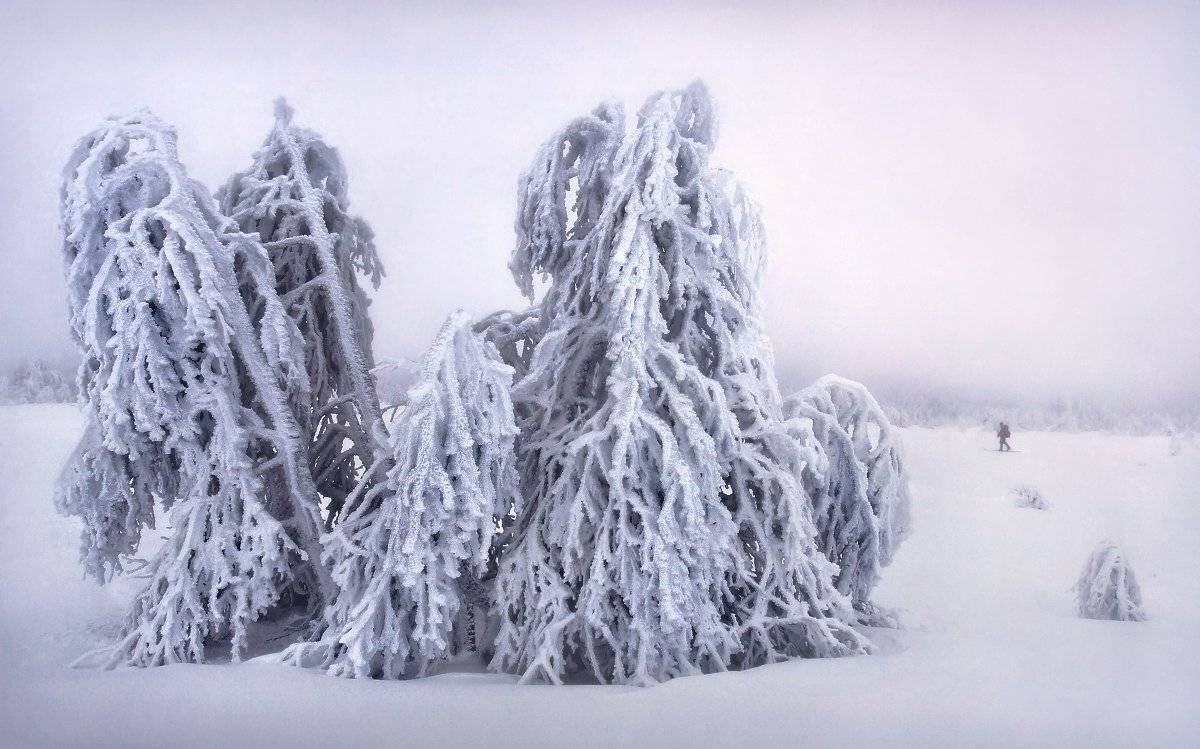 , Сергей Макурин