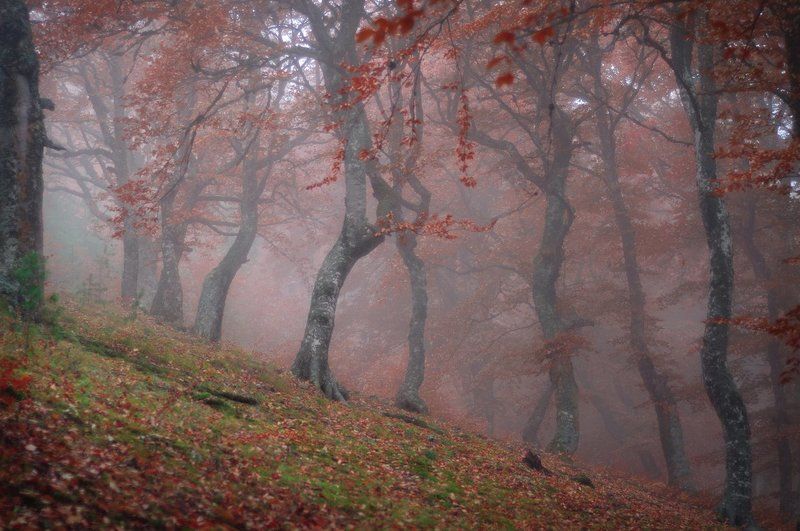 Туманность Демерджи. фото превью