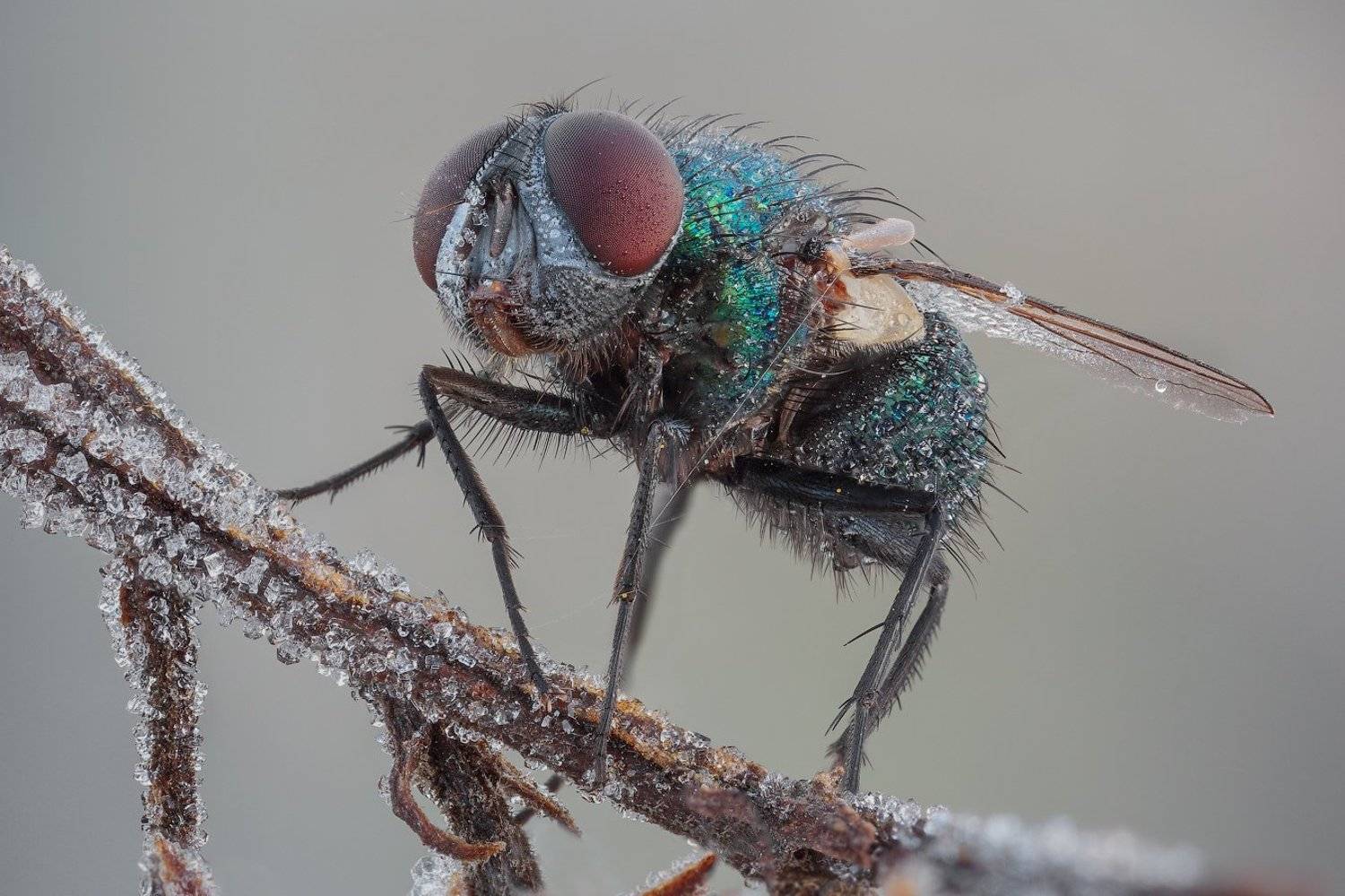 , Вадим Ходаковский