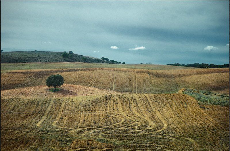Испания осень Испания. Осень в полях фото превью