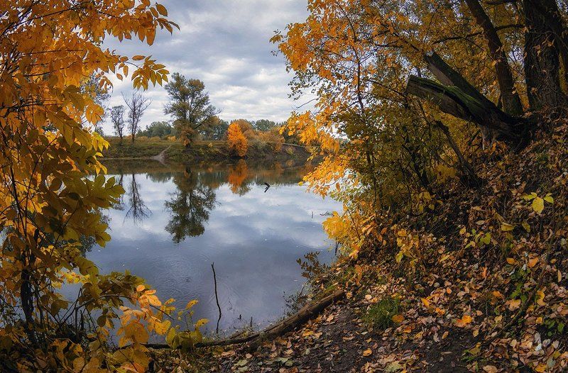 Фишайная осень в Кривой Луке фото превью