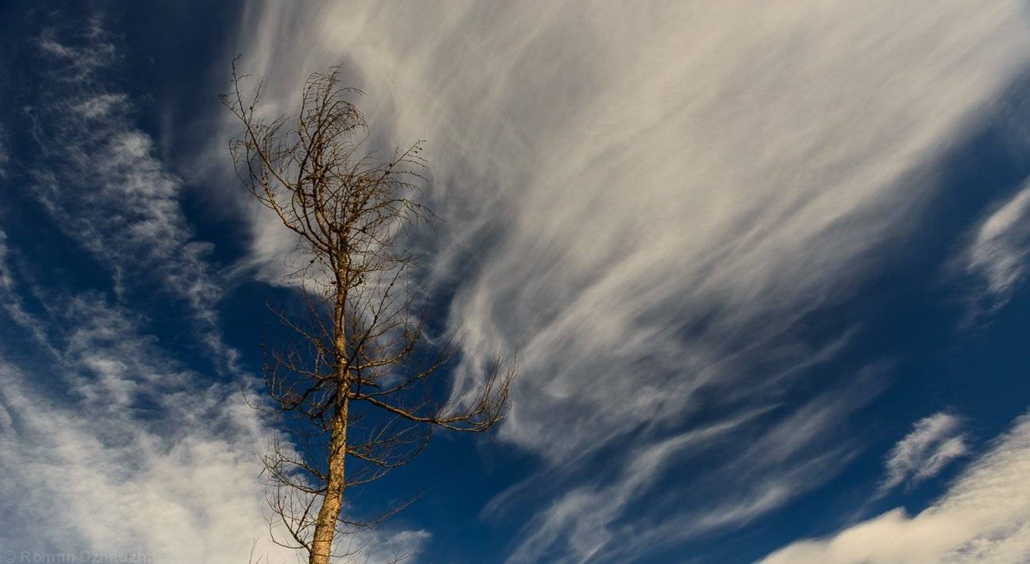 , Роман Джаджа