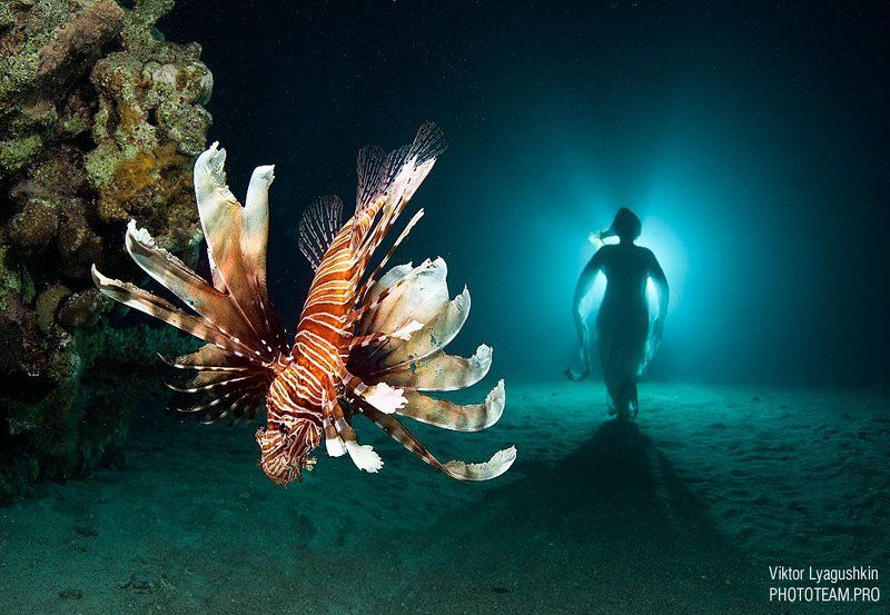 Уходя гасите свет фото превью