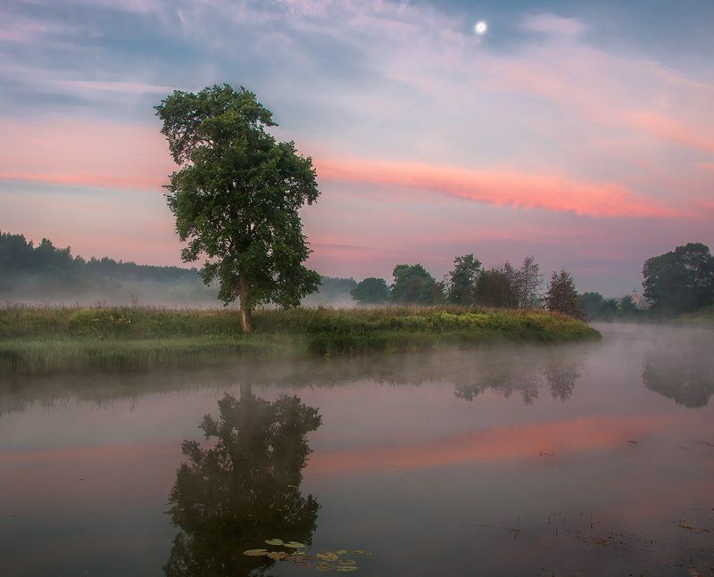 Думы про лето фото превью
