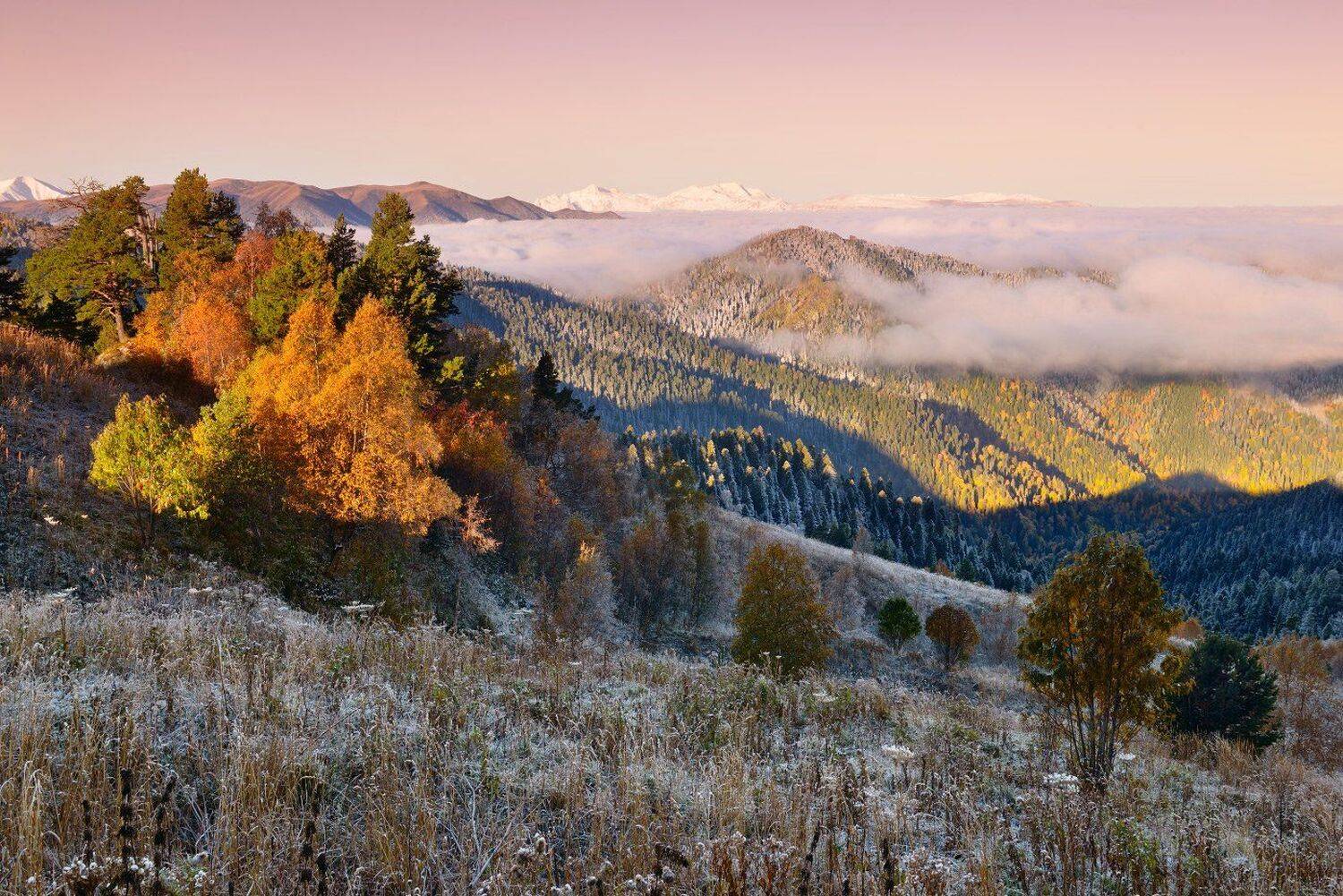 , Максим Евдокимов