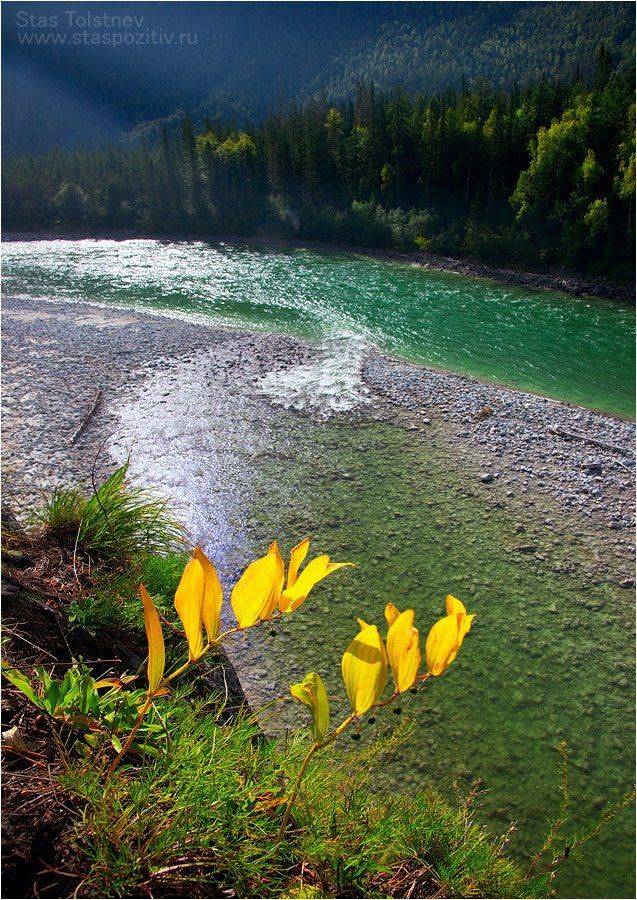 , Станислав Толстнев