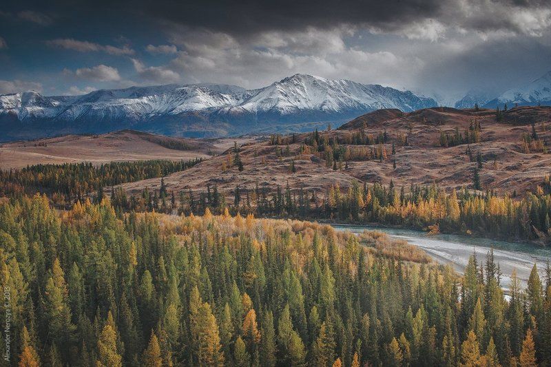 Спешное течение Чуи фото превью