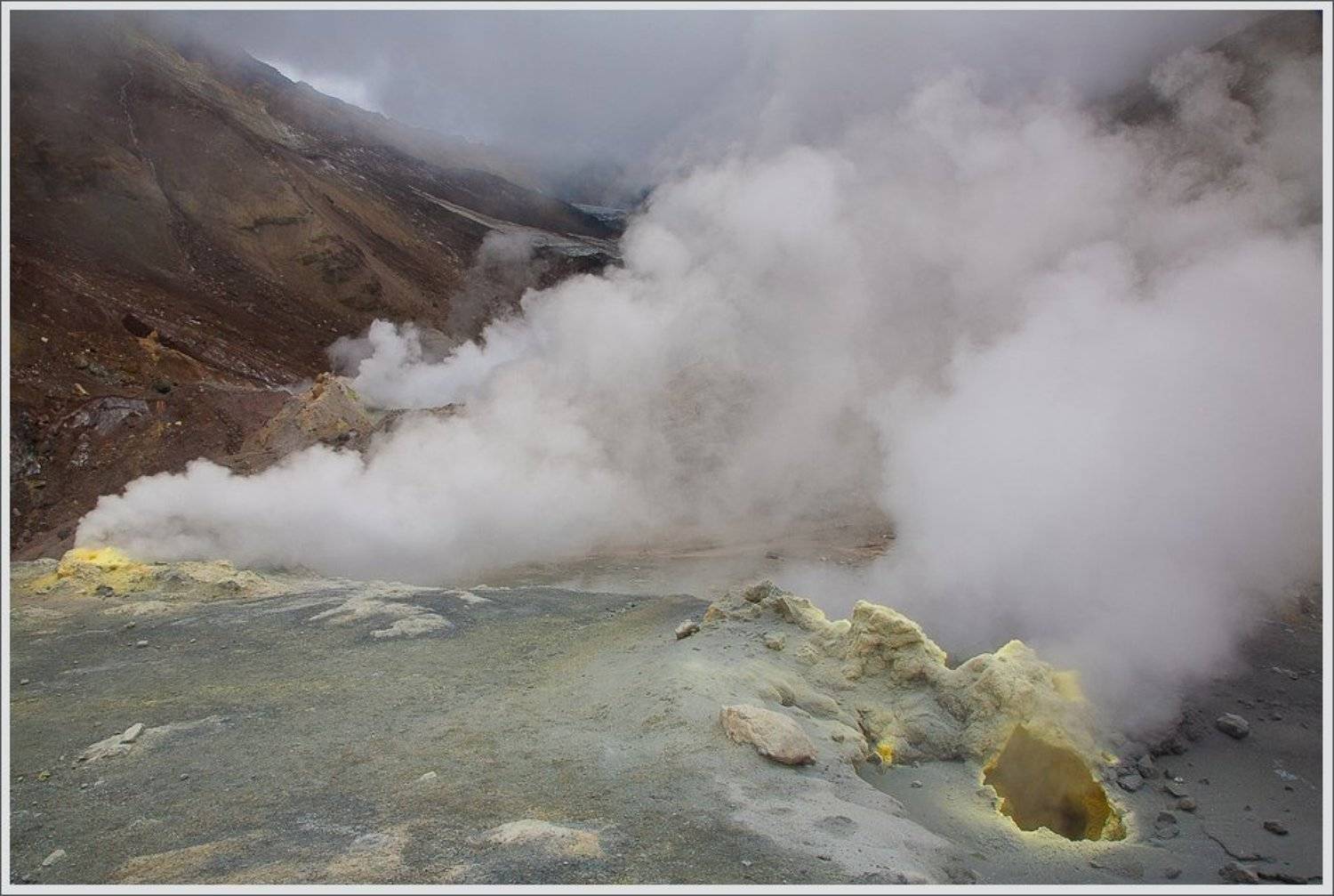 , Сергей Захаров.