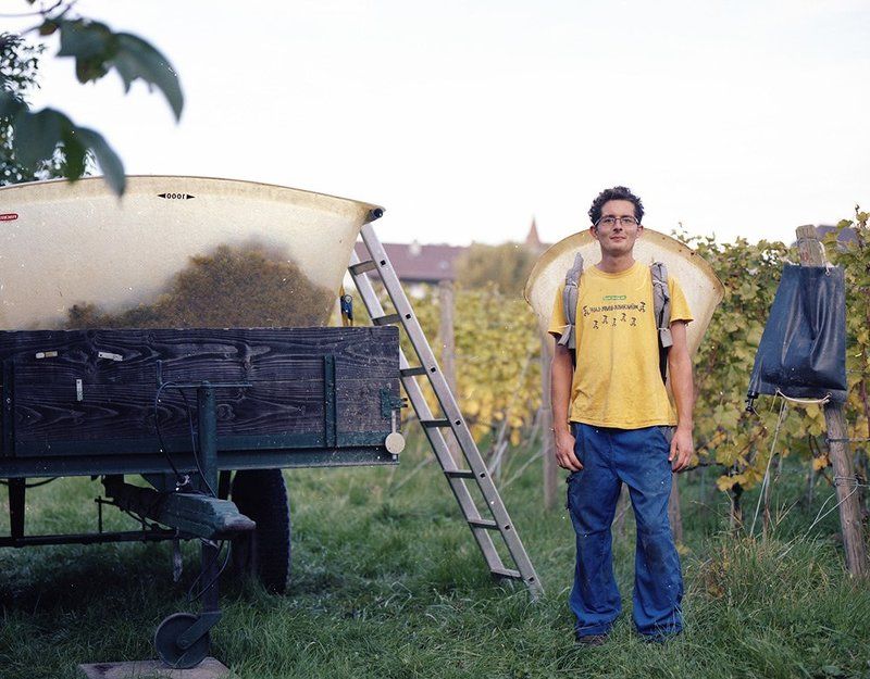 Осенняя страда в небольшой Швейцарии фото превью