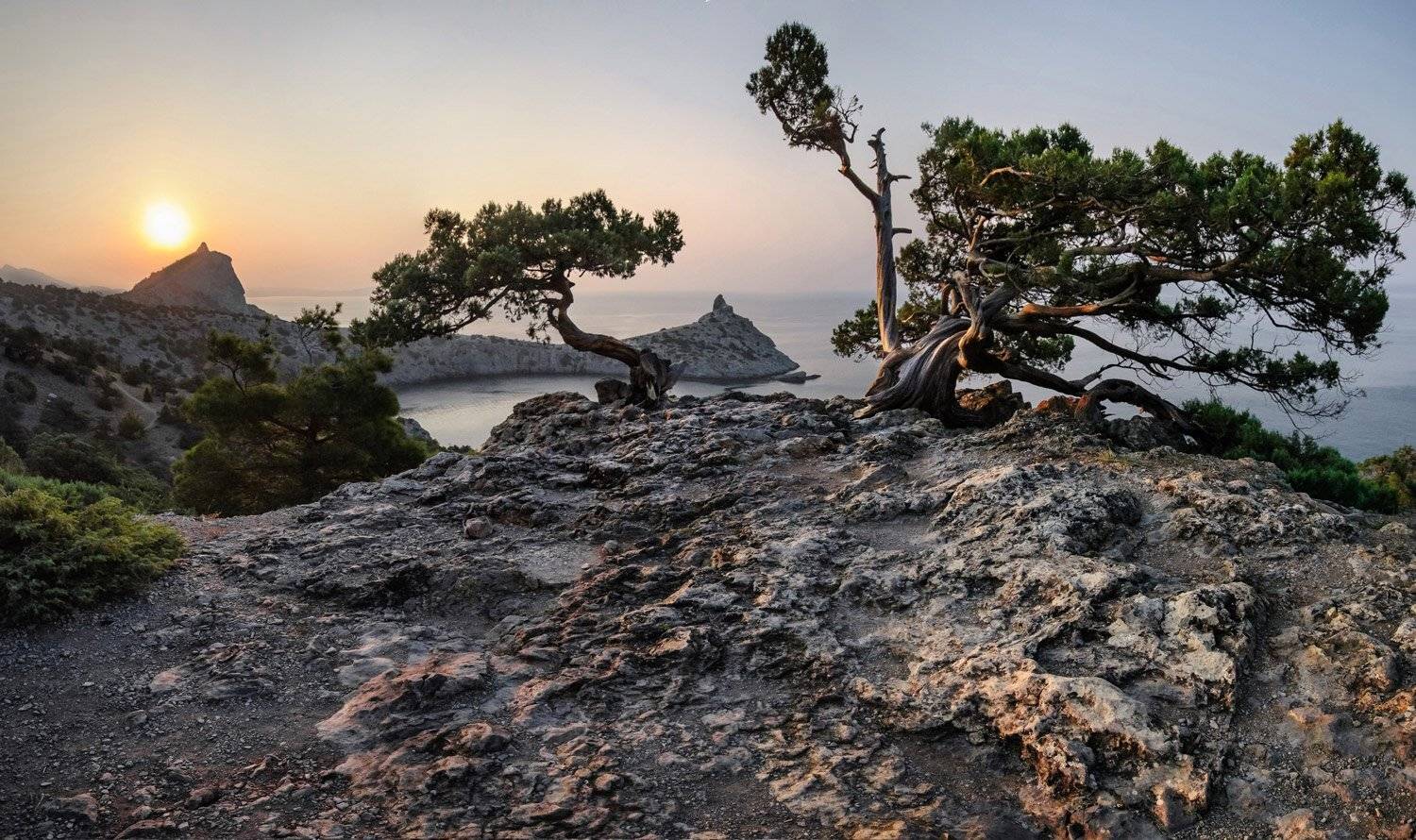 , Маркович Михаил