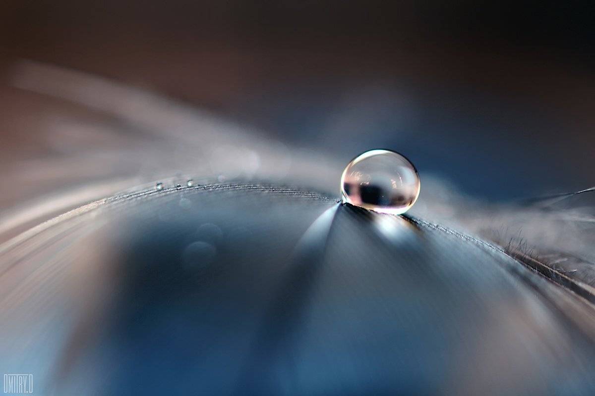 , Дмитрий Доронин