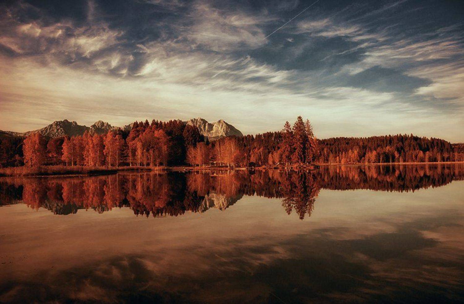 , DesiArt Kuleshova