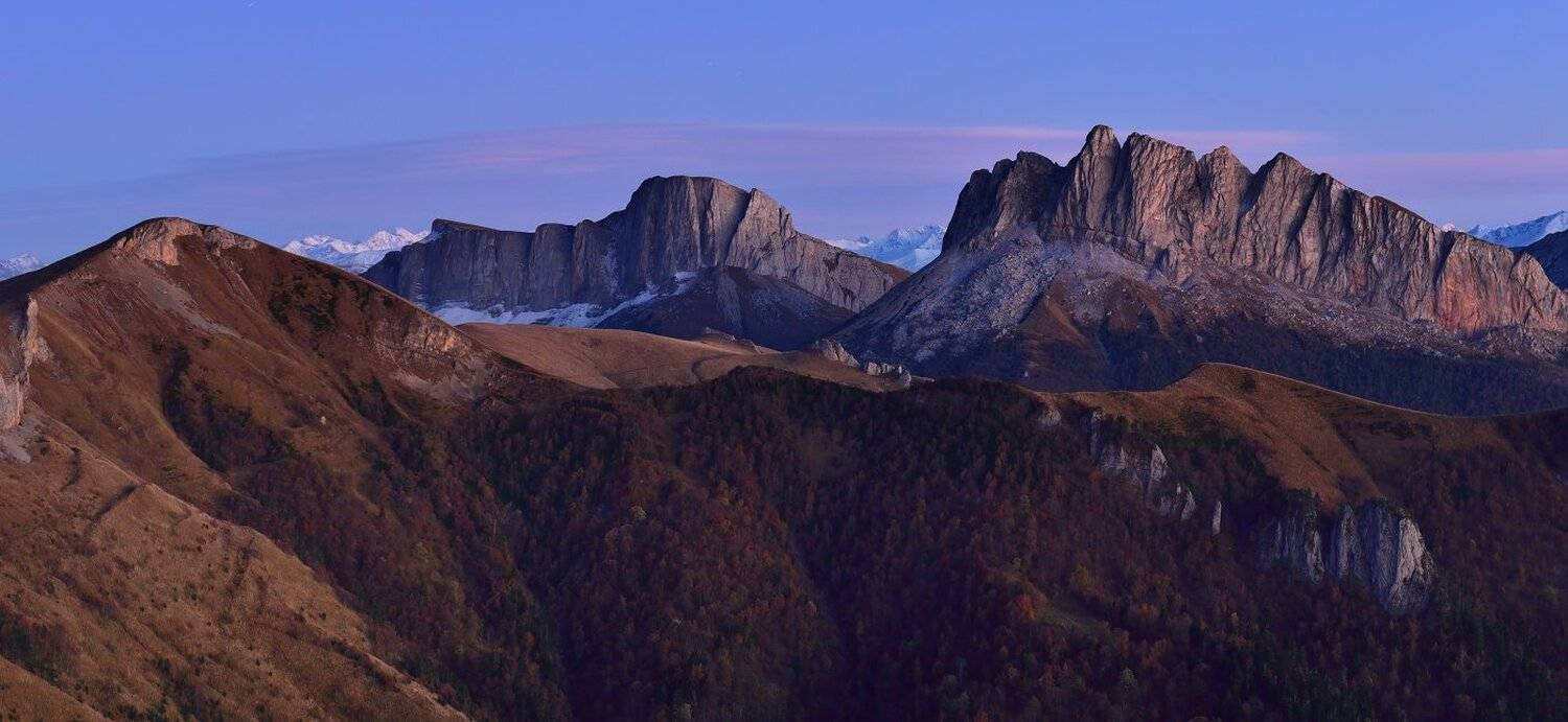 , Максим Евдокимов