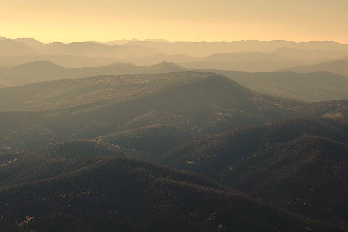 , Сидоренко Алексей